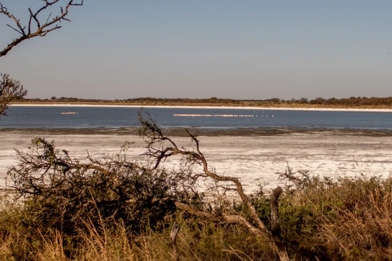 ECOOBJETIVO FOTO LAGUNA DEL 20