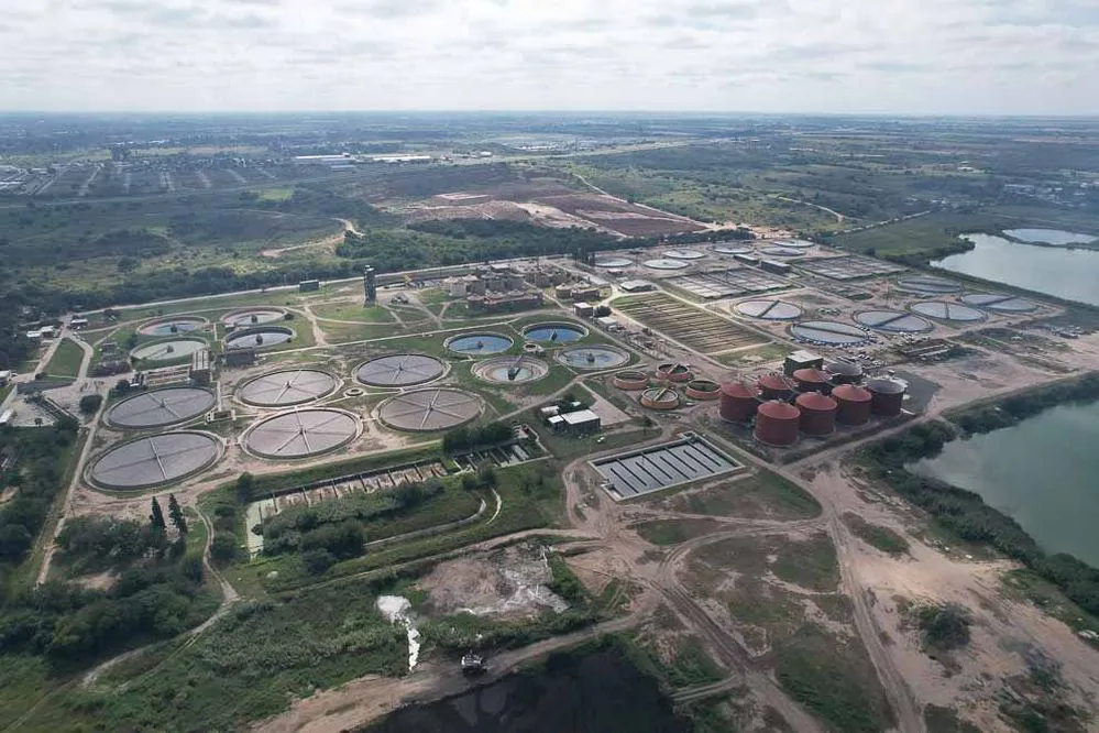 ECOOBJETIVO FOTO PLANTA DE BAJO GRANDE ENERGIA 1