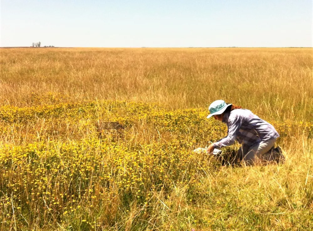 ECOOBJETIVO FOTO PASTOREO 2 Sofía Campana (1)