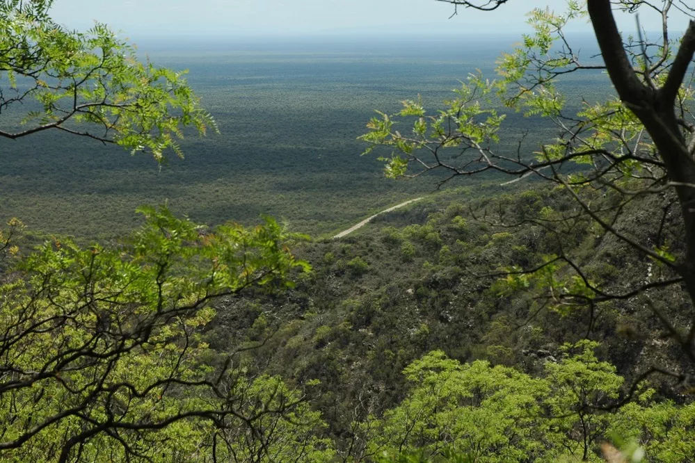 ECOOBJETIVO FOTO AREA NATURAL PROTEGIDA 2