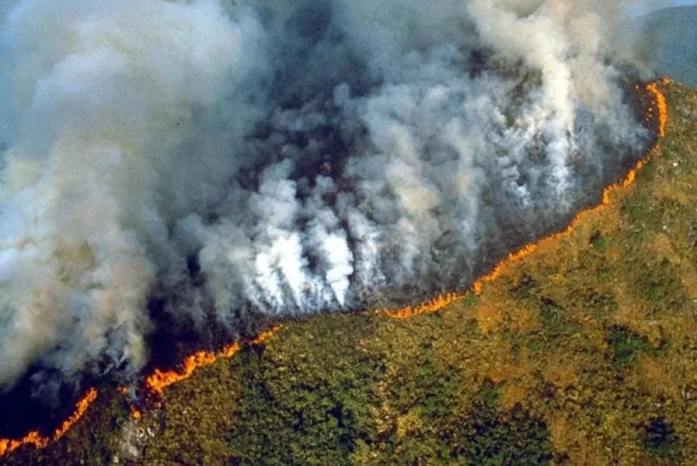 incendios amazonas