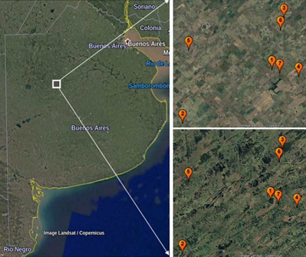 ECOOBJETIVO FOTO AVES ARMANDO RENELLA