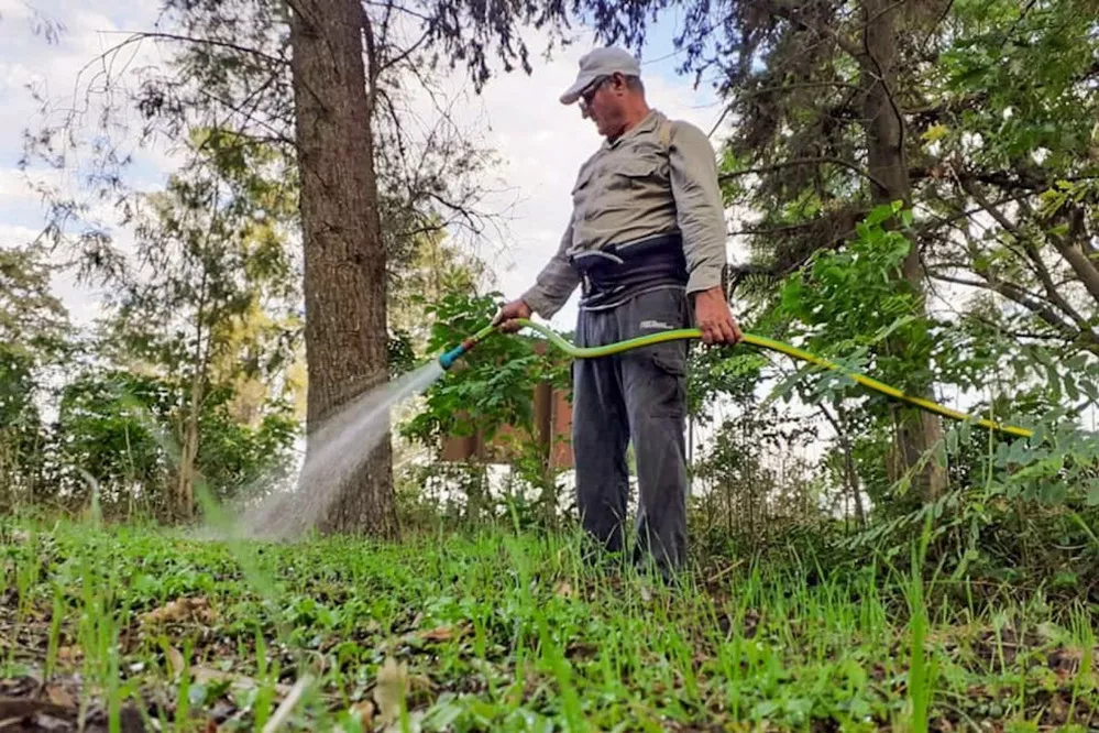 ECOOBJETIVO FOTO VIVEROS PROVINCIALES 1