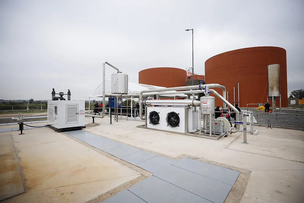 ECOOBJETIVO FOTO PLANTA DE BAJO GRANDE ENERGIA 2