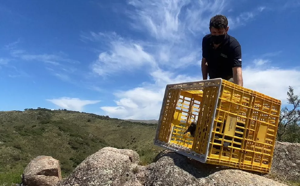 jote - camino del cuadrado - liberación_ cba.gov.ar