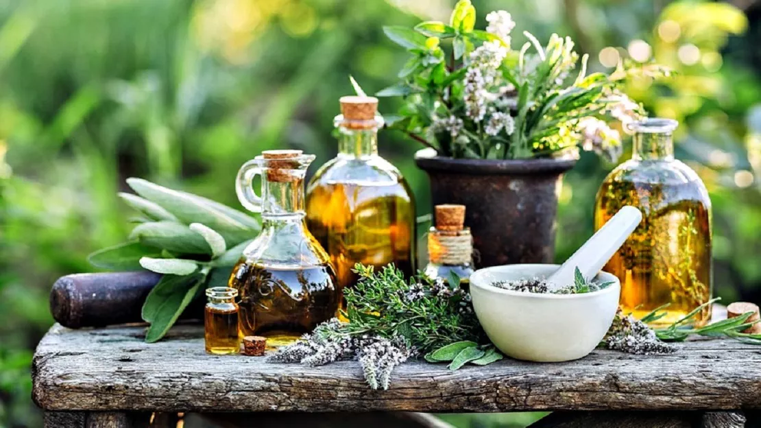 plantas-medicinales-32