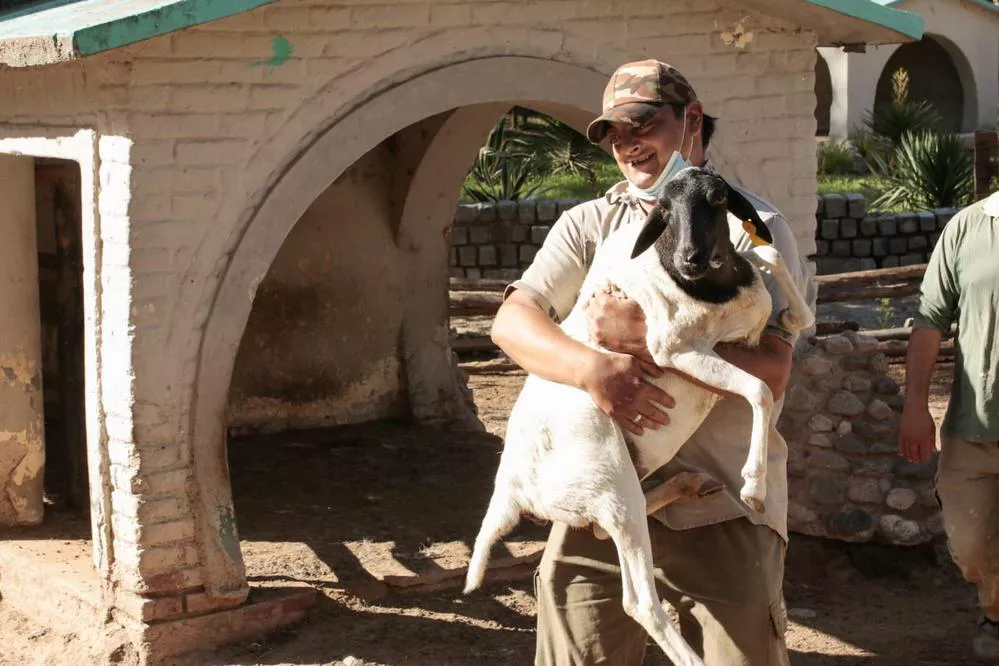 ECOOBJETIVO FOTO CÓRDOBA TRASLADOPEU 4