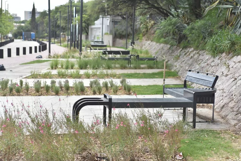 ECOOBJETIVO FOTO CORREDOR CALLE RONDEAU 3