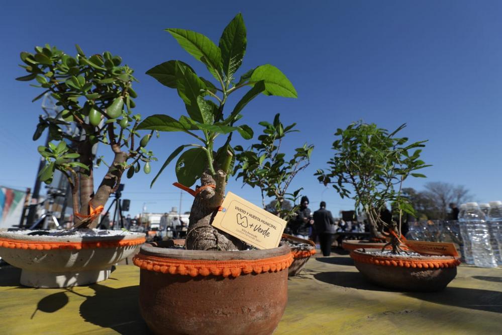 ECOOBJETIVO FOTO PROVINCIA VIVEROS 2