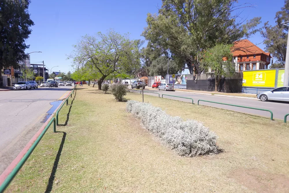 ECOOBJETIVO FOTO CÓRDOBA PADRINAZGO ESPACIOS VERDES 2