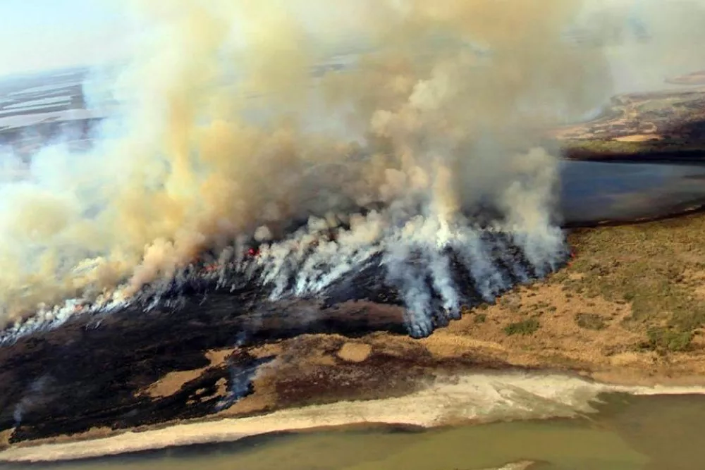 incendios-parana