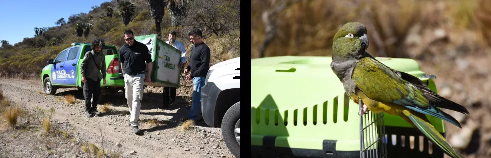 Policia Ambieltal rescate liberacion