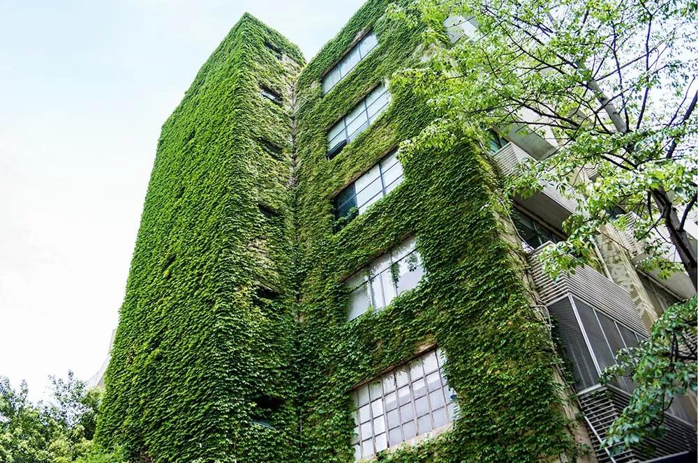 edificios verdes en peru