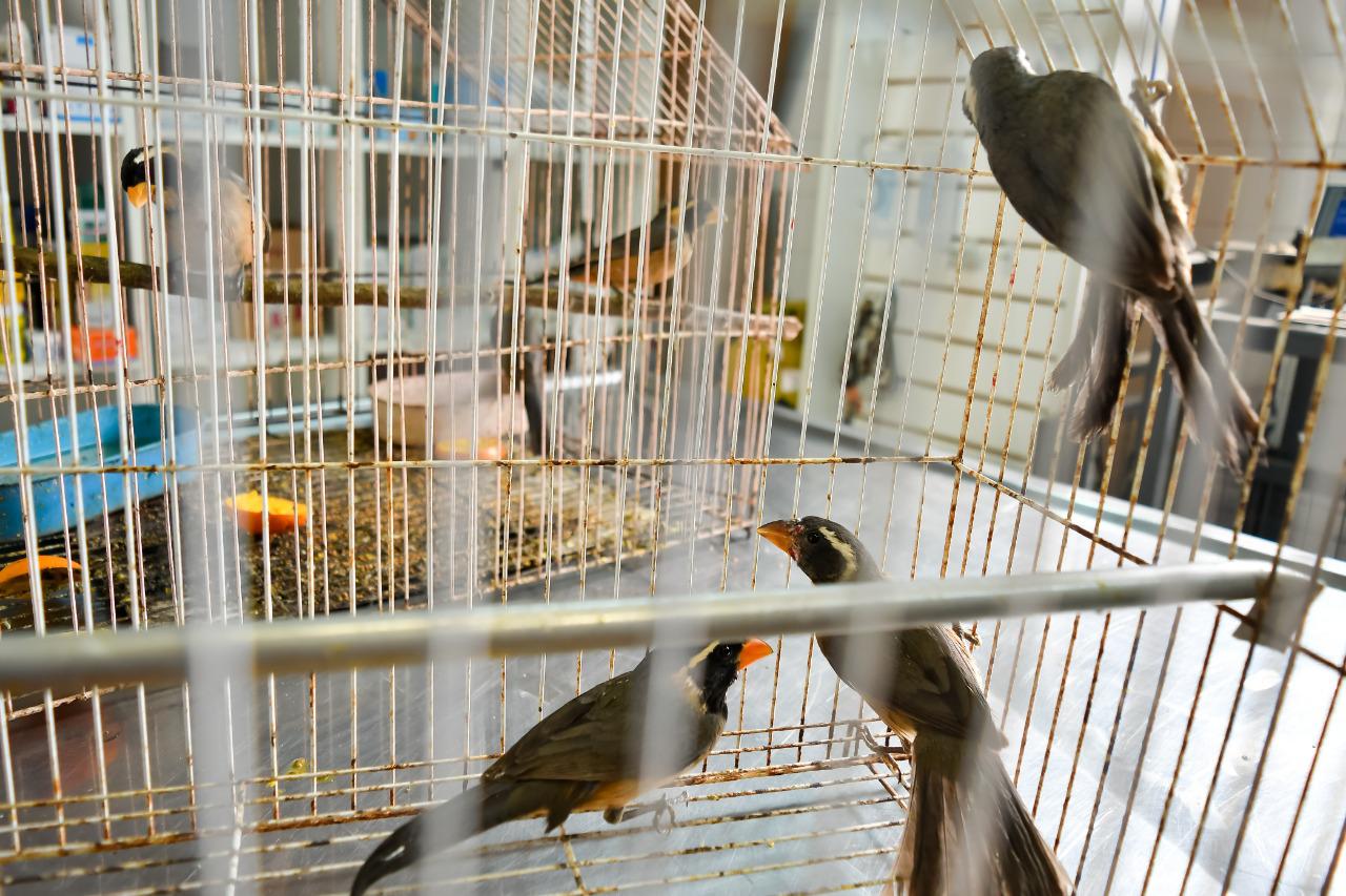 ECOOBJETIVO FOTO BIODIVERSIDAD CBA 3