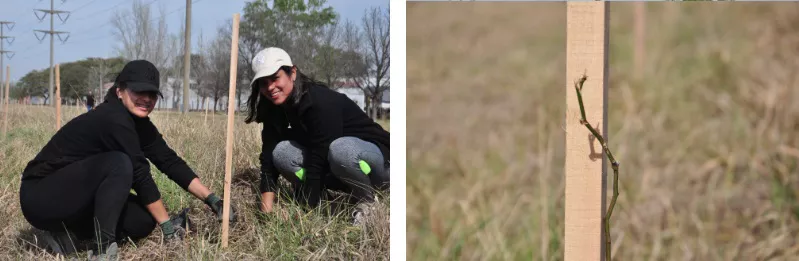 Secretaría de Ambiente realizó una jornada de forestación con municipalidad de San Francisco 2