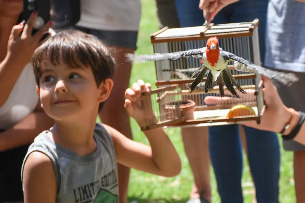 ECOOBJETIVO FOTO POLICIA AMBIENTAL AVES