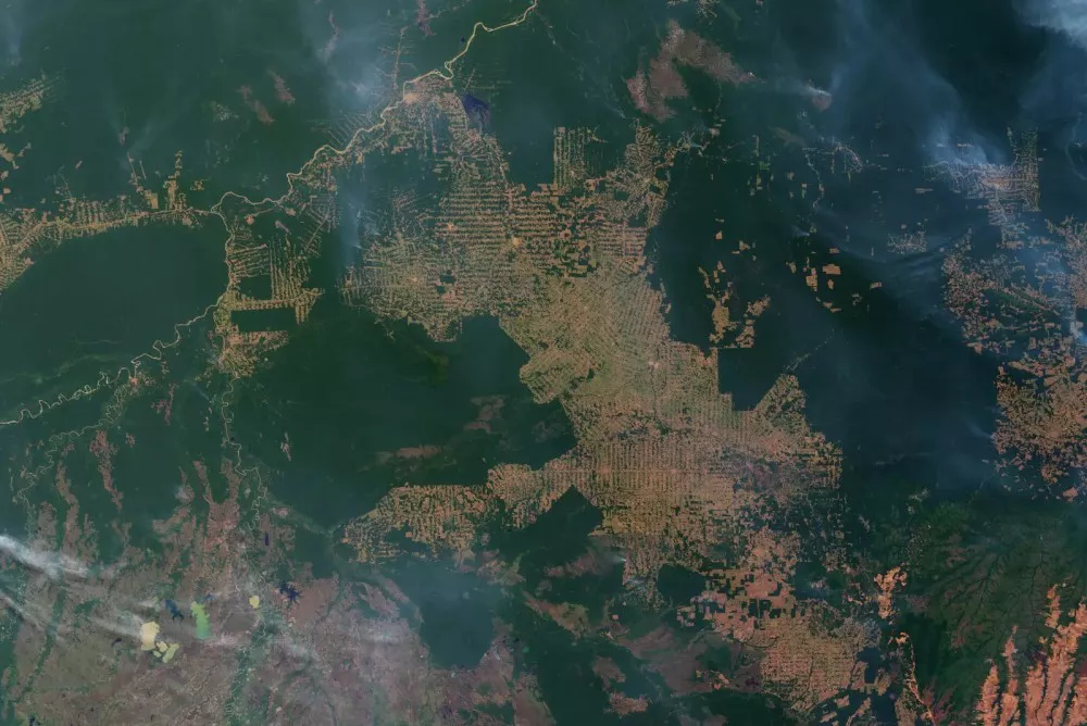 amazonas