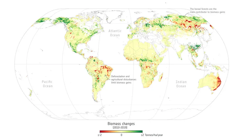 Change_in_biomass_2010_2019_article