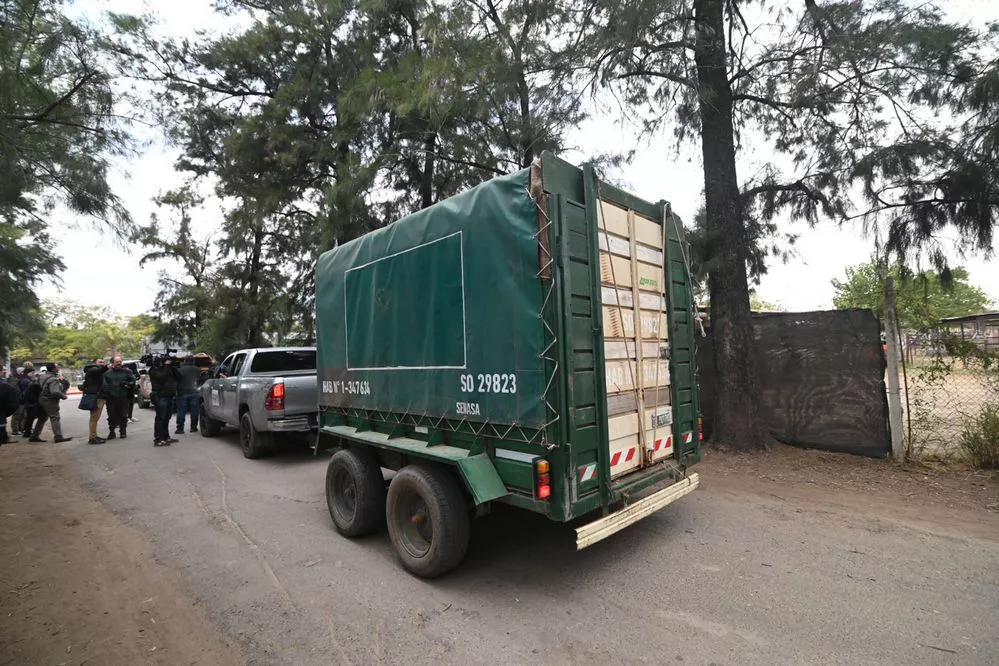 ECOOBJETIVO FOTO CÓRDOBA BUFALO 2