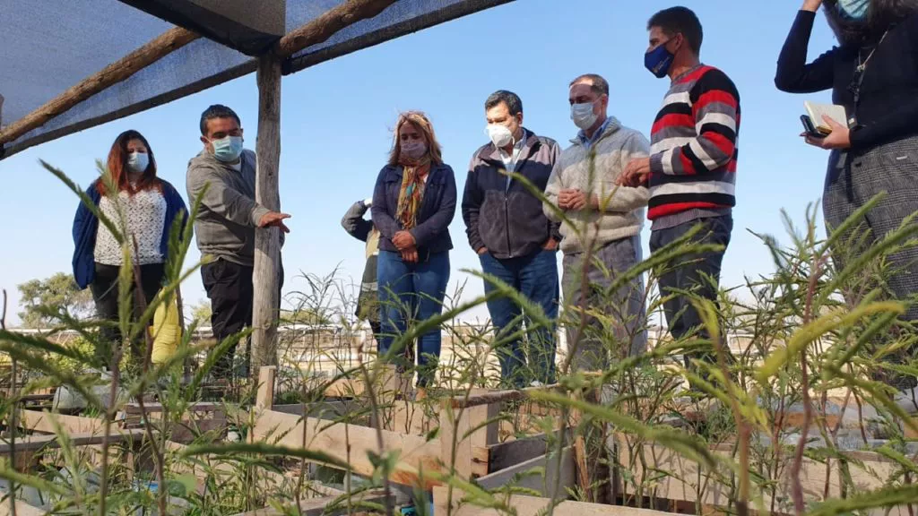 ECOOBJETIVO FOTO JUAREZ CELMAN FORESTACIÓN 3