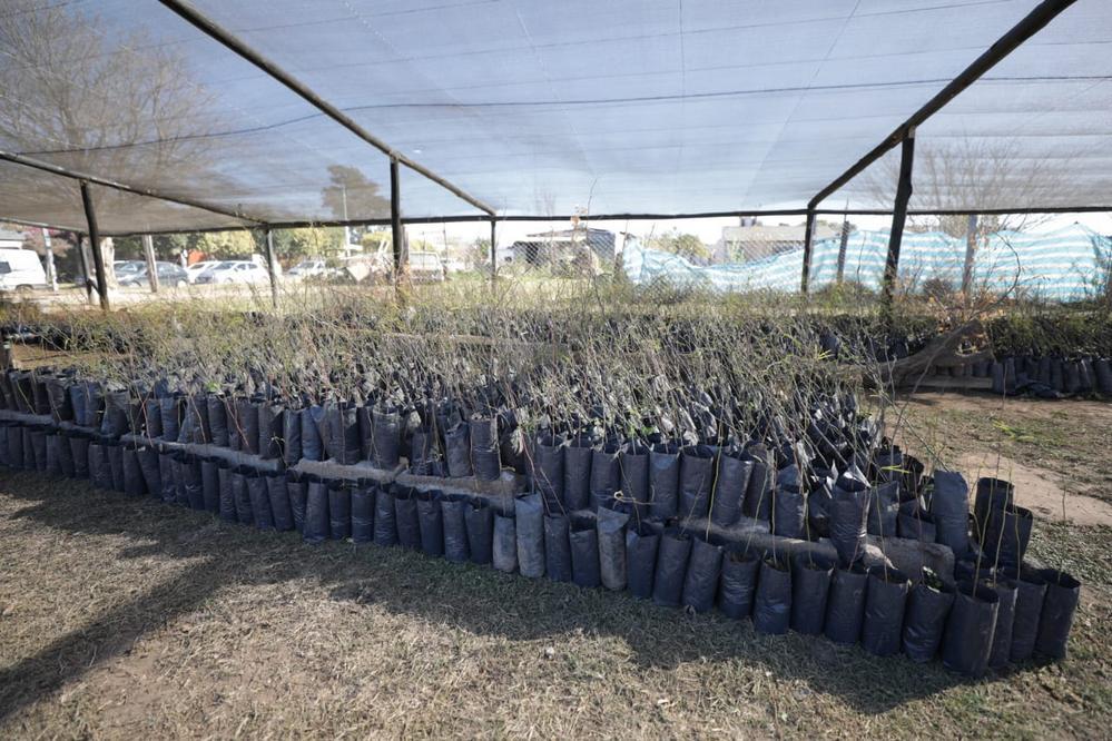 ECOOBJETIVO FOTO PROVINCIA VIVEROS 1