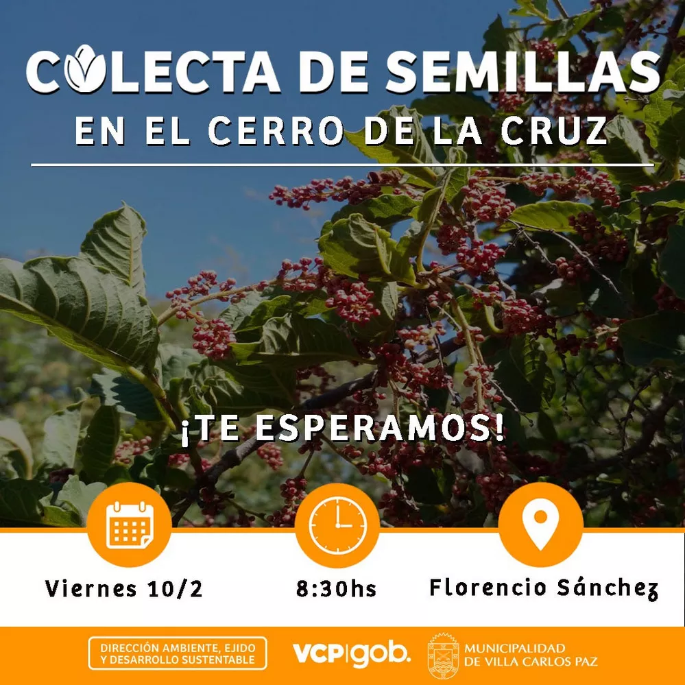 ECOOBJETIVO FOTO VILLA CARLOS PAZ COLECTA DE SEMILLAS 100223