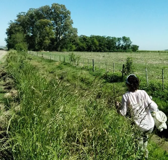 ECOOBJETIVO FOTO REDES AGRICULTURA 5