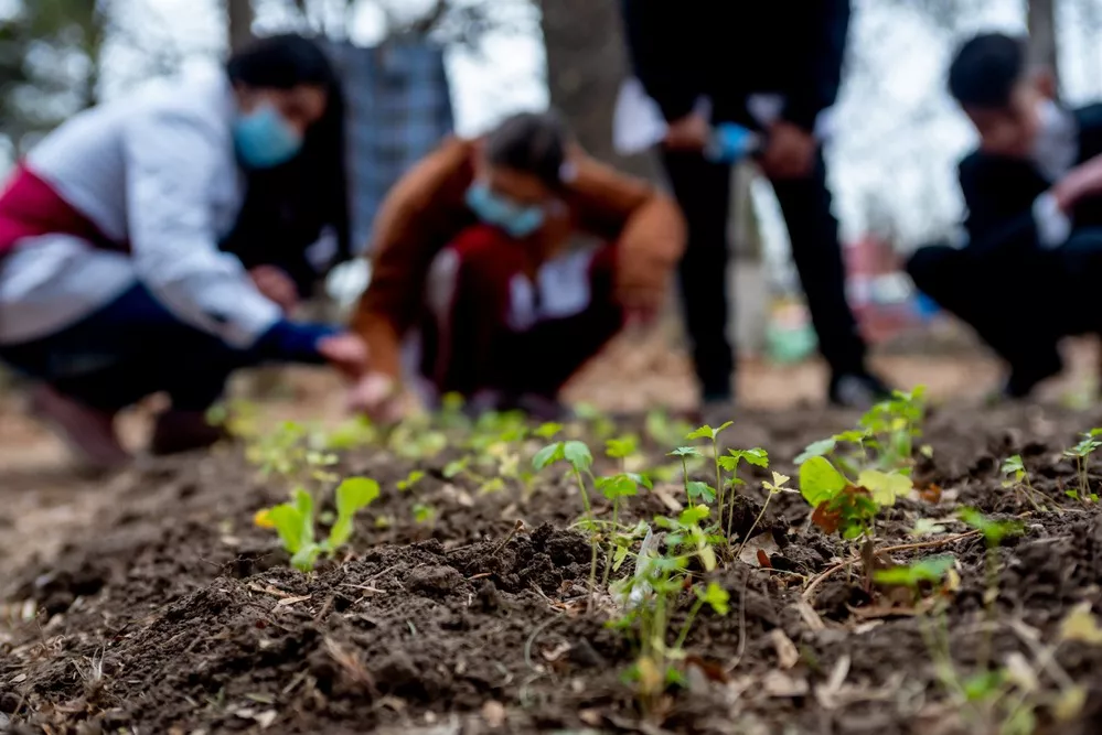 ECOOBJETIVO FOTO CÓRDOBA ESCUELAS VERDES 5