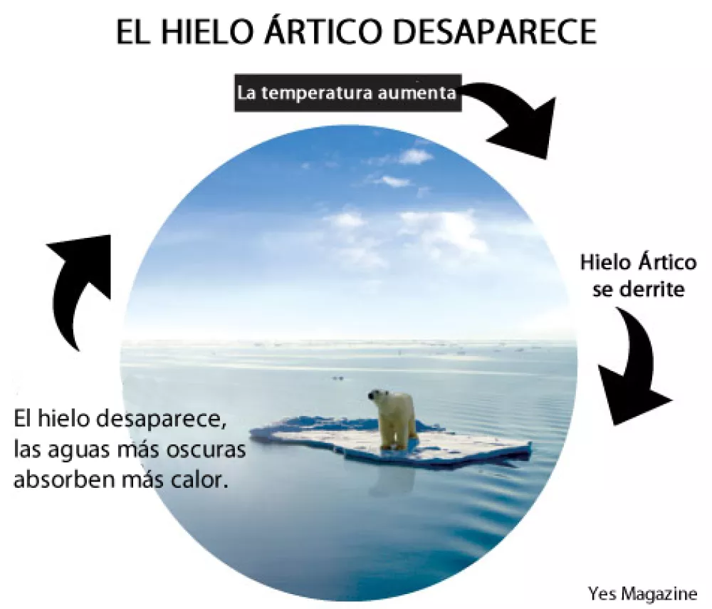 yes-magazine-positive-feedback