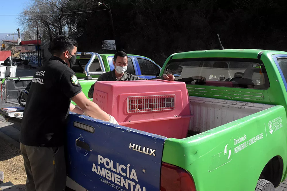 ECOOBJETIVO FOTO MONO 2