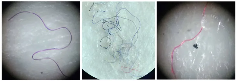 ECOOBJETIVO FOTO MICROPLASTICOS FAUBA microplásticos - tres-fibras