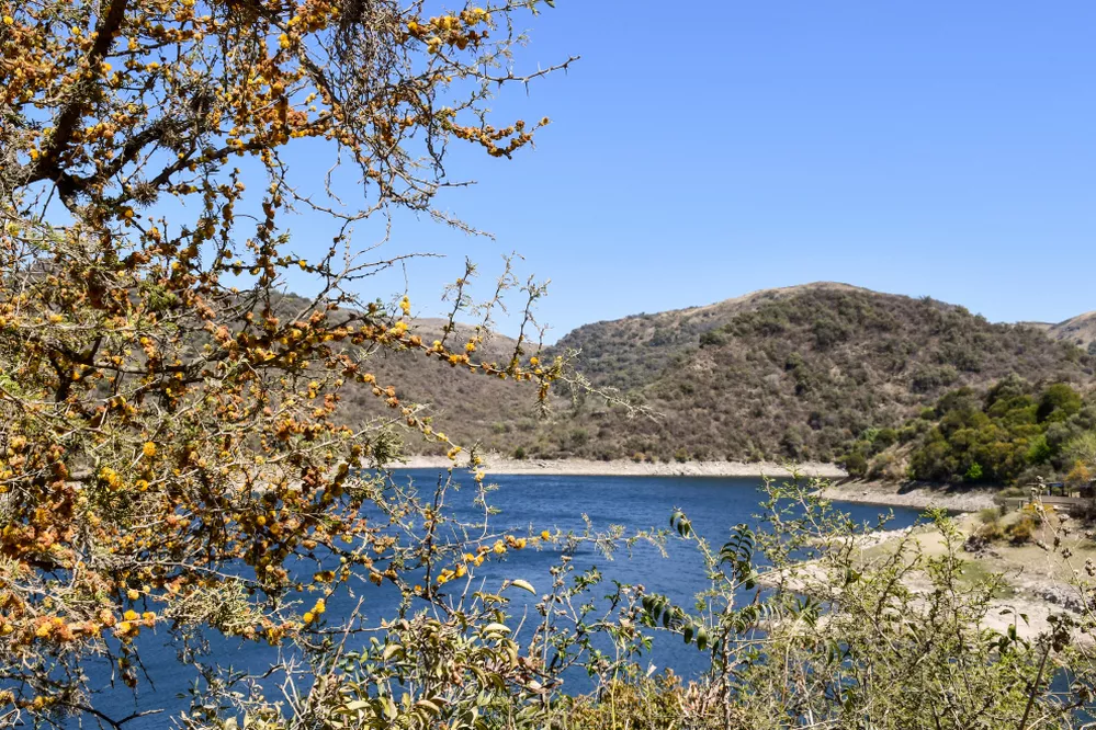 ECOOBJETIVO FOTO AMBIENTE LA QUEBRADA 2