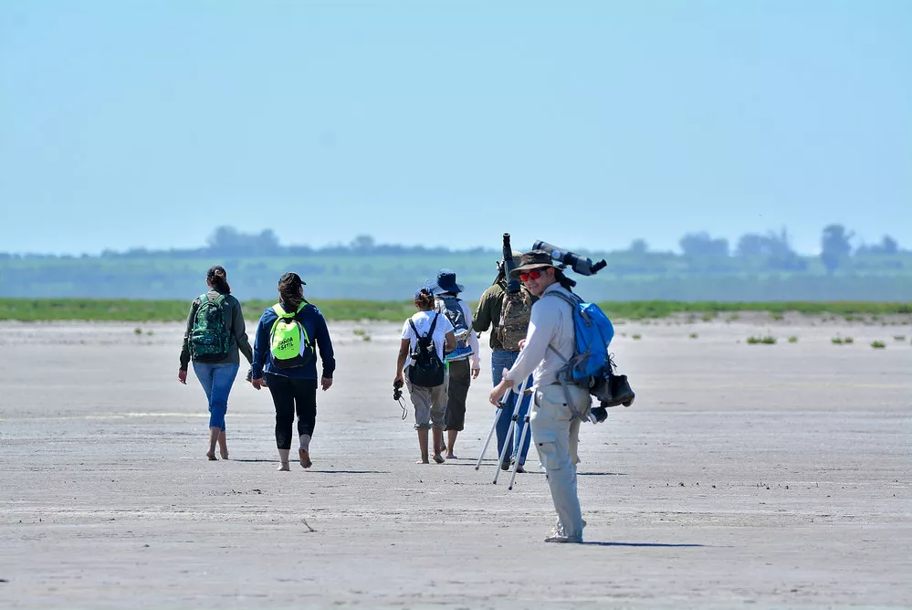 ECOOBJETIVO FOTO AVES ARGENTINAS ANSENUZA Observación de aves. Pablo Rodas