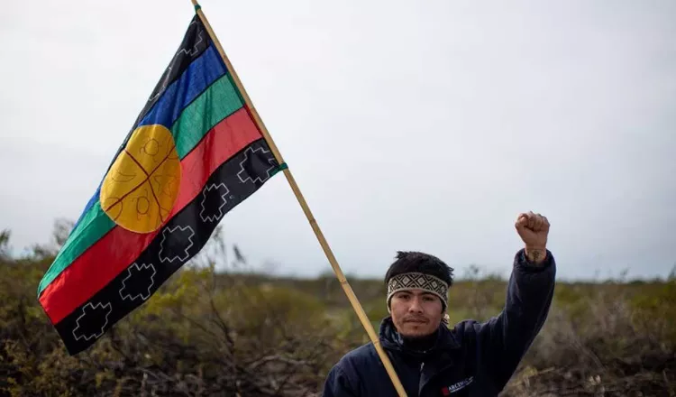 siete crías de cóndores seis llevan nombres mapuches.