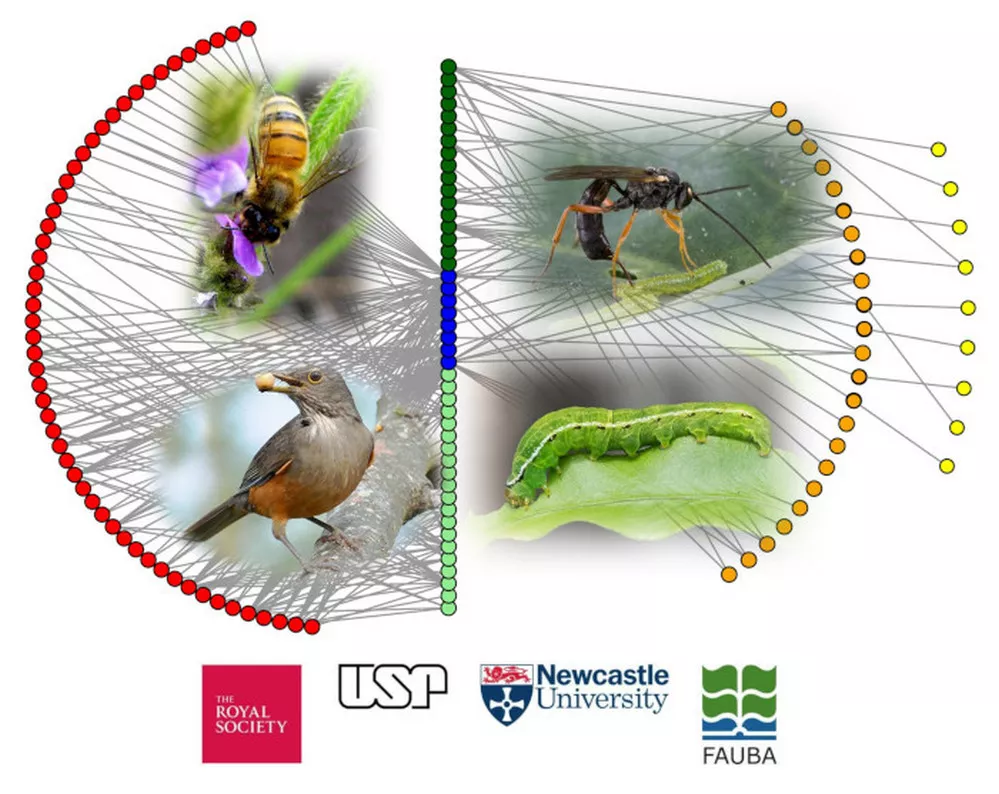 ECOOBJETIVO FOTO REDES AGRICULTURA 1