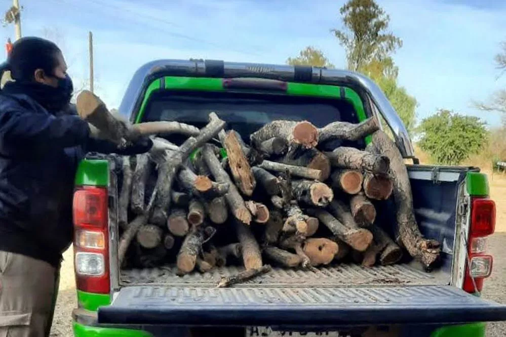 ECOOBJETIVO FOTO POLICIA AMBIENTAL FORESTAL 1