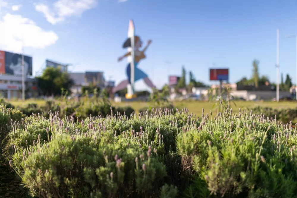 ECOOBJETIVO FOTO CÓRDOBA PADRINAZGO ESPACIOS VERDES 3