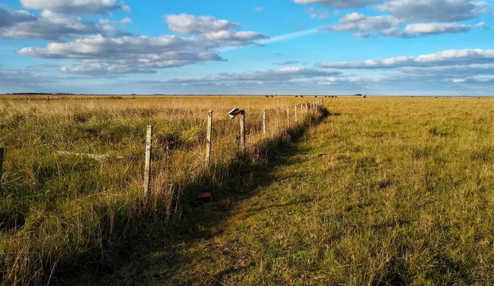 ECOOBJETIVO FOTO PASTOREO 3 Sofía Campana