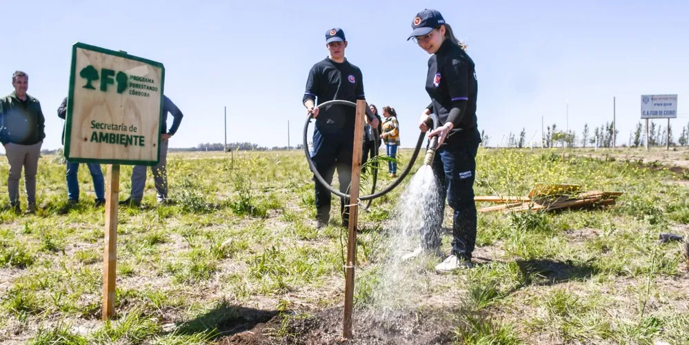 ECOOBJETIVO ESPECIAL AMBIENTE SAC forestando 2