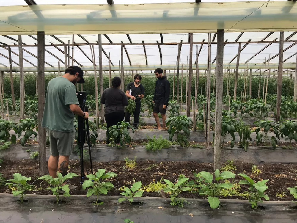 ECOOBJETIVO FOTO HUERTA AMBA 1 spg - invernáculo