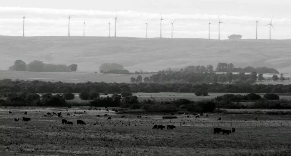 ECOOBJETIVO FOTO ENERGIA EOLICA viento - molinos2 (foto M Franke)