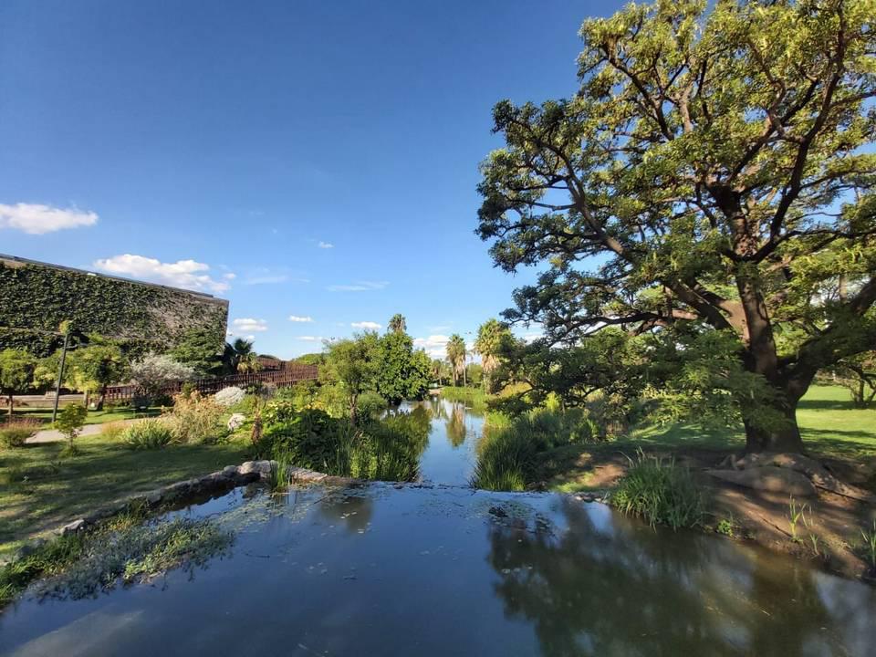 Jardin botasnico cordoba 00018