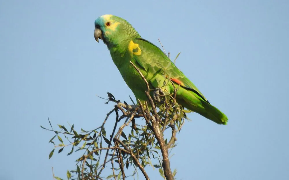 REGION OBJETIVO FOTO MONUMENTO NATURAL 1