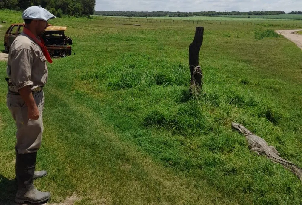 ECOOBJETIVO FOTO RIO CEBALLOS Policia-Ambienta-yacare-Rio-Ceballos 1-1024x784