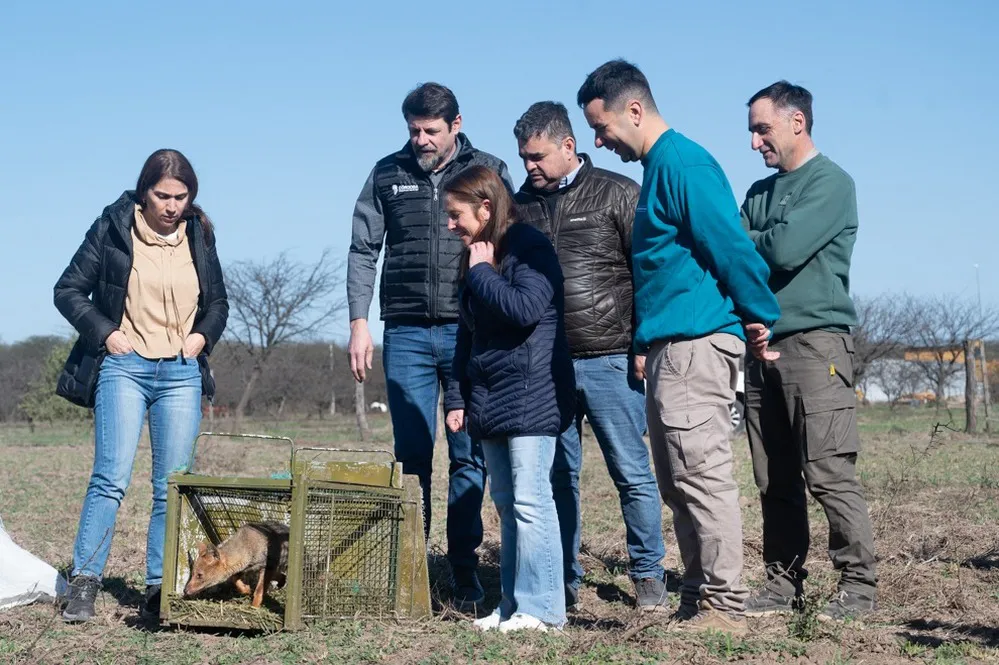 ECOOBJETIVO FOTO EL TIO LIBERACION DE FAUNA 1