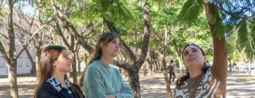 Arbolado urbano UNC 2