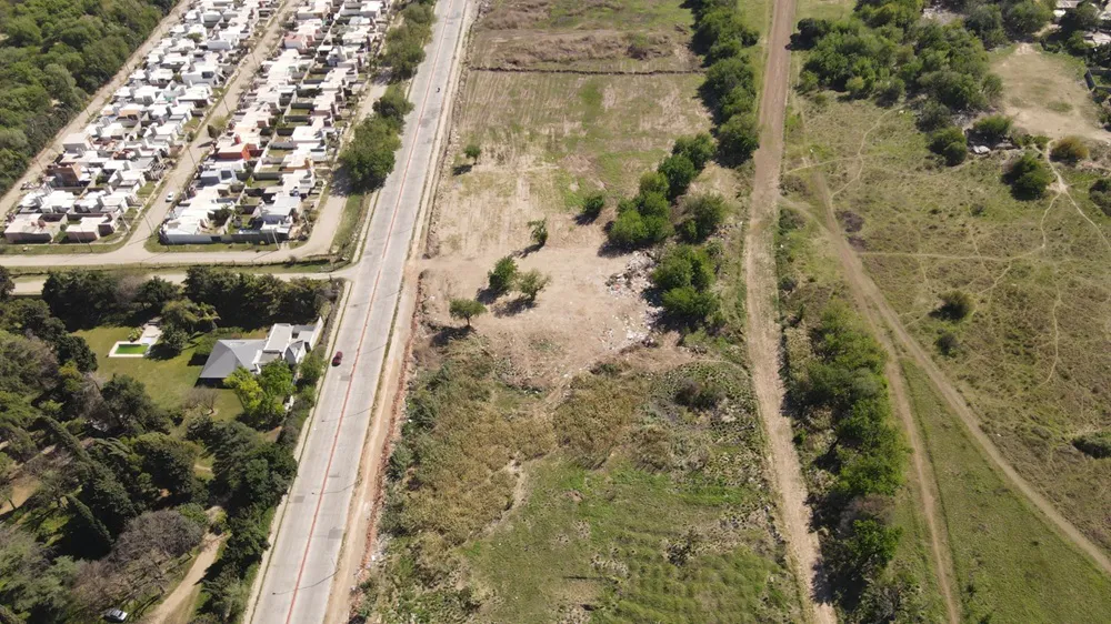 macrobasural roque arias