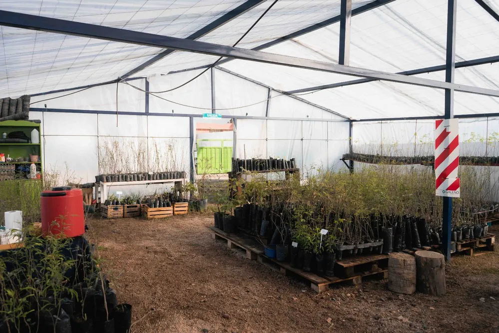 ECOOBJETIVO FOTO RIO CUARTO PROGRAMA FORESTANDO MI CIUDAD 2024 2