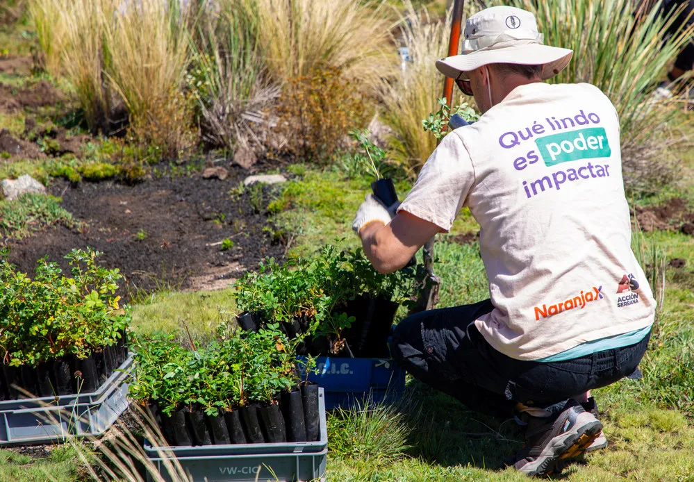 ECOOBJETIVO FOTO NARANJA X Plantacion 2