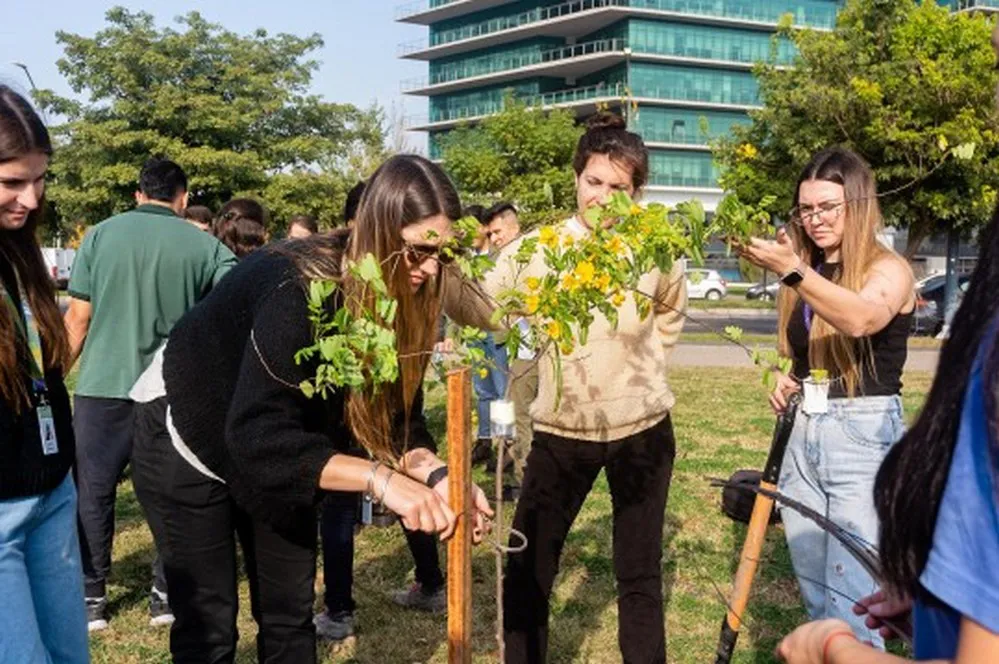 ECOOBJETIVO FOTO ROSARIO DIA DEL ARBOL PLANTACION